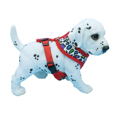 Hundegeschirr kleine