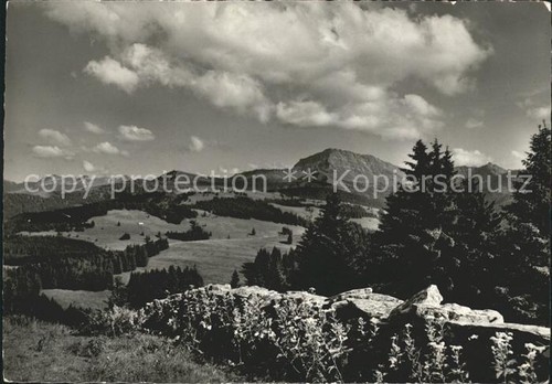 Tanzboden speer regulastein - tanzboden,