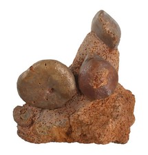 Dogger  Standstufe mit