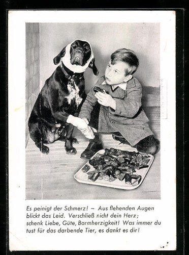 Ansichtskarte berlin hund mit - ansichtskarte,