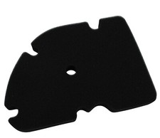 Luftfilter Schwamm für Piaggio MP3 250ie / MP3 300ie / X8 250ie / VESPA GTS 125