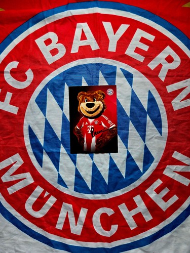 Berni deutscher meister - berni,