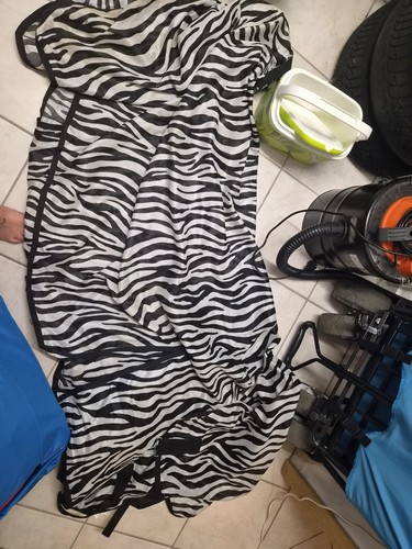 Fliegendecke zebra mit - fliegendecke,