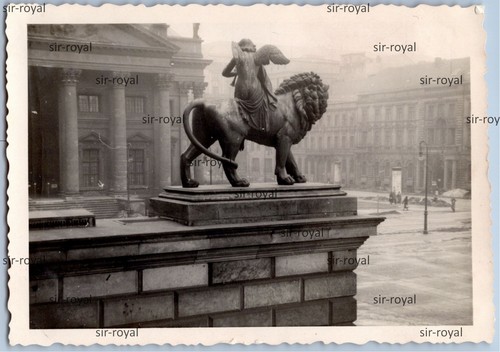 Berlin 1941 löwe - berlin,