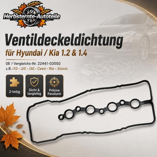 Zylinderkopfhaubendichtung