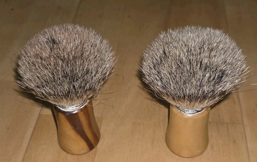 Zwei dachshaarpinsel - zwei,