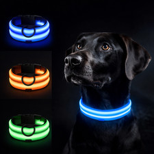 LED Leuchthalsband für Hunde