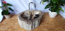 Waschbecken Versteinertem Holz