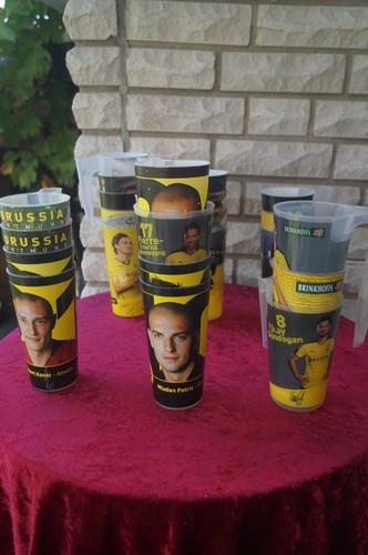 Bvb borussia dortmund - borussia,