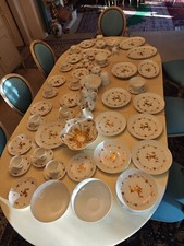 Wunderschönes Rosenthal Geschirr Set Handbemalt