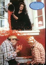 Der dritte Frühling -