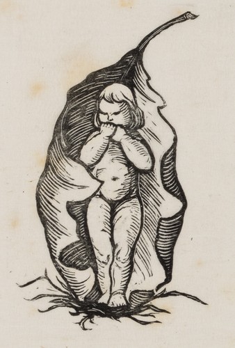 Mädchen umhüllt ein - mädchen,