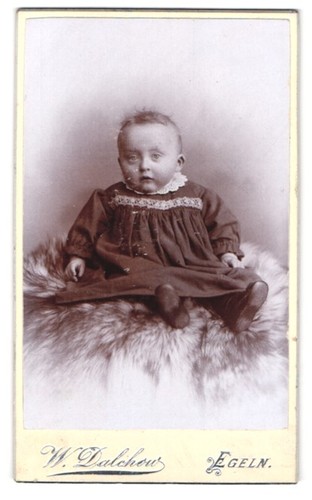 Fotografie dalchow egeln - w., dalchow,