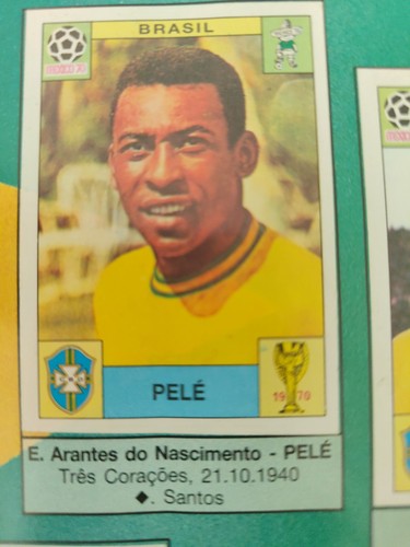 Album panini geschichte - album, wm