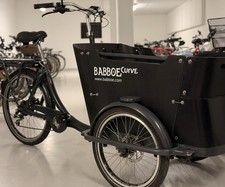 Babboe Curve E Lastenfahrrad in top Zustand