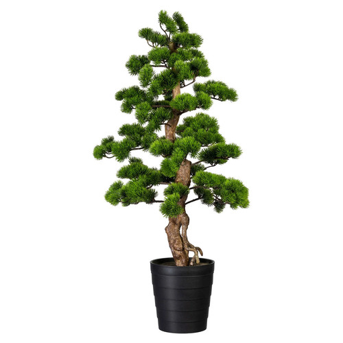 Künstlicher bonsai kiefer - künstlicher, bonsai-kiefer