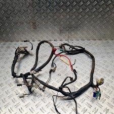 Kabelbaum elektronik pegasus - kabelbaum,