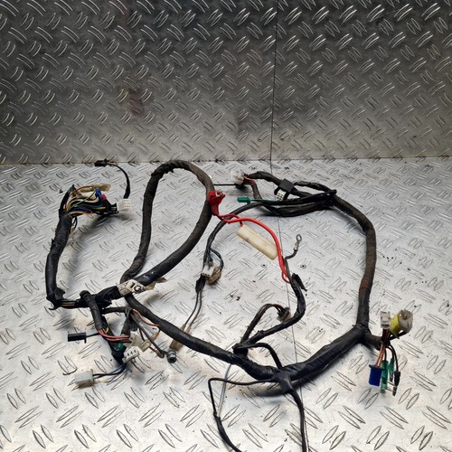 Kabelbaum elektronik pegasus - elektronik,