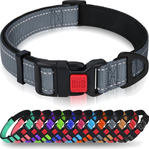 Neopren hundehalsband grau - in,