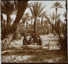 Maghreb Palmenhain Kinder