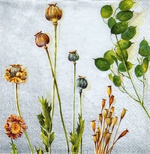 3 Servietten ~ Herbst, Mohnkapseln, Wilbur ~ 33x33