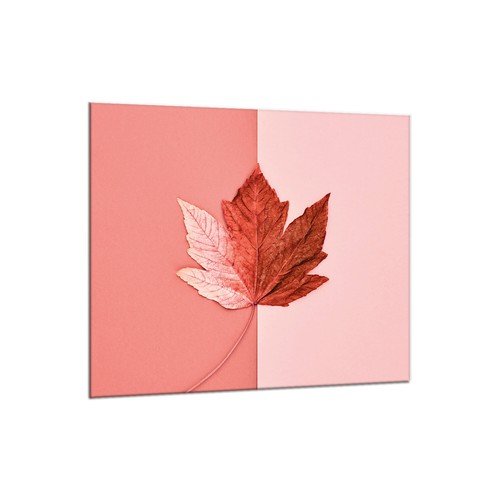 Küchenrückwand glas 65x60 - küchenrückwand,