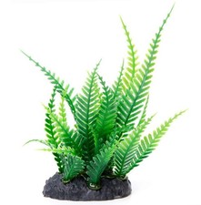 Aquarium Terrarium