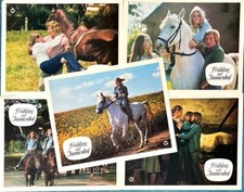 Aushangfotos - Immenhof Filme - Heidi Brühl - Heimatfilm Klassiker Sammlung