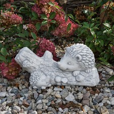 Igel Familie auf Ast