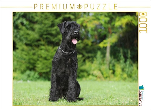 Calvendo puzzle sitzender - puzzle,