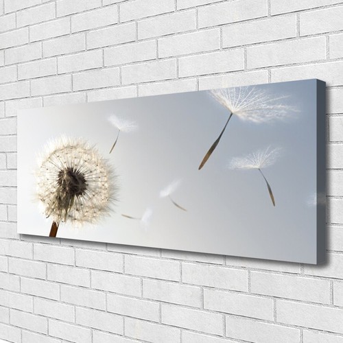 Leinwand bilder wandbild - leinwand-bilder,