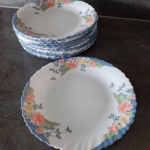 Arcopal france hartglas - arcopal,