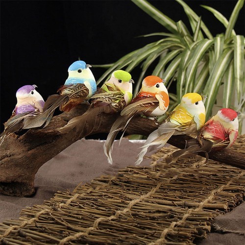 Atemberaubender schaum vogel - atemberaubender,