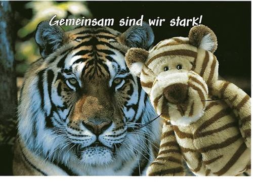 Nici karte postkarte wild - nici,