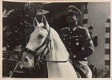 Pressefoto Robert Taylor