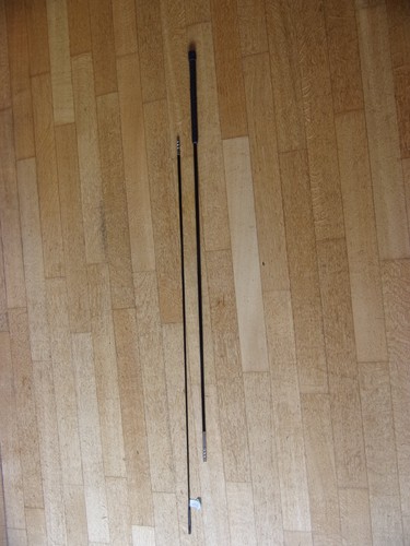 Longierpeitsche blank teilbar