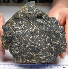 Andalusit chiastolith - andalusit,