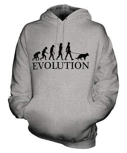 Alsatian evolution man - evolution, of