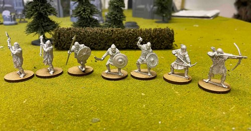 Neu orc warband - 3,