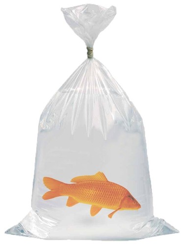 Fischtransportbeutel - 10,