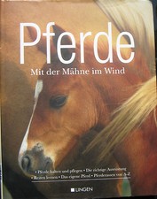 Pferde mit der - pferde, im