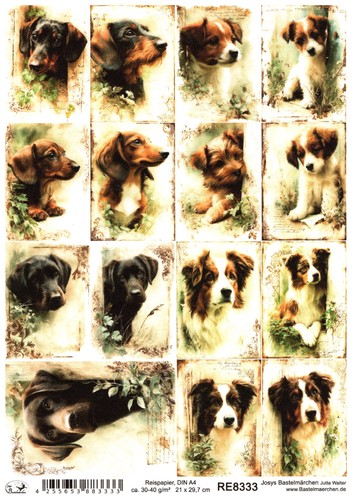 Reispapier din decoupage - reispapier,