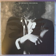 The Waterboys - This Is The