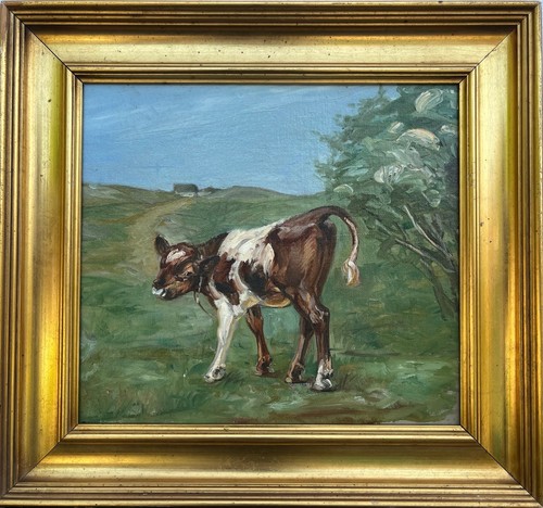 Unbekannter tiermaler kalb auf - kalb,