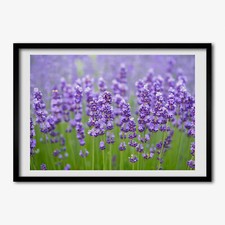 Tulup Bild MDF-gerahmte