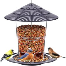 Vogelhaus Vogel Futterspender