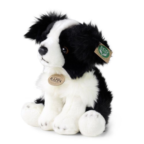 Border collie cm hund - collie,