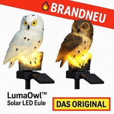 LumaOwl™ Solar LED Eule