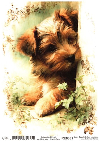 Reispapier din decoupage - din,
