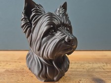 Yorkshire terrier büste - terrier, /